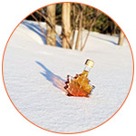 Petite bouteille de sirop d'érable posée dans la neige