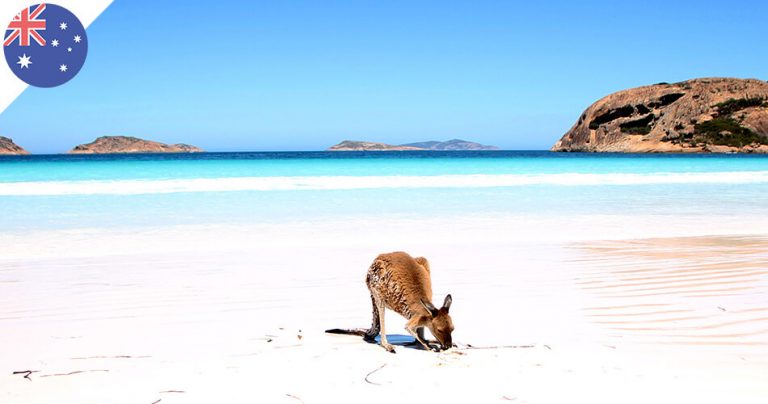 Photo d'un kangourou sur la plage Lucky Bay Beach en Australie