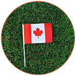 Mini drapeau canadien sur la pelouse